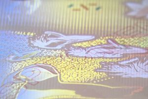 Новый паспорт Канады стирает нашу историю